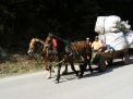 DSCF5748.JPG