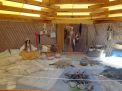 DSC01203.JPG