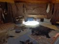 DSC01204.JPG