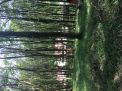 IMG_3694.JPG