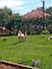 IMG_20200720_130149_9.jpg