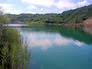 IMG_20200720_141420_6.jpg