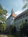 IMG_20230804_114748_368.jpg