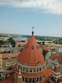 IMG_20230805_121311_833.jpg