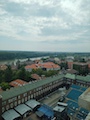 IMG_20230805_121344_200.jpg