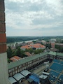 IMG_20230805_121354_956.jpg