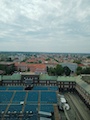 IMG_20230805_121356_964.jpg