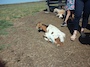 IMG_20230714_105706_061.jpg