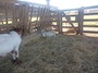 IMG_20230714_105752_207.jpg