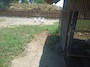 IMG_20230714_110101_542.jpg