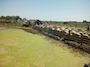 IMG_20230714_111241_553.jpg