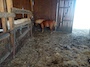 IMG_20230714_113051_178.jpg