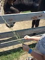 IMG_20230714_113658_386.jpg